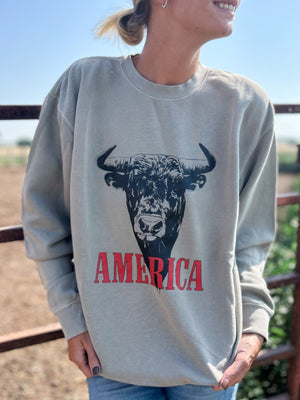 America Bull Stone Crewneck